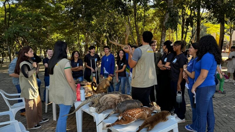 Programação da Semana do Meio Ambiente segue hoje e amanhã com foco na preservação e sustentabilidade