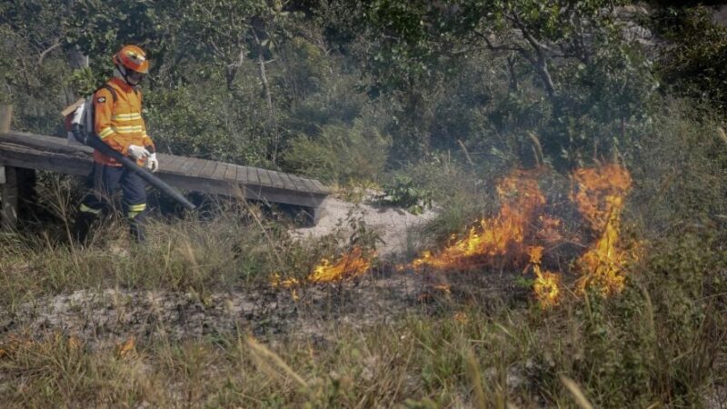 Bombeiros realizam queima prescrita para preservação do Cerrado em Chapada dos Guimarães