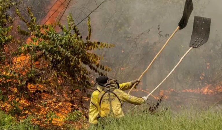 Combate a incêndios no Pantanal ganha reforço de 80 brigadistas da Força Nacional