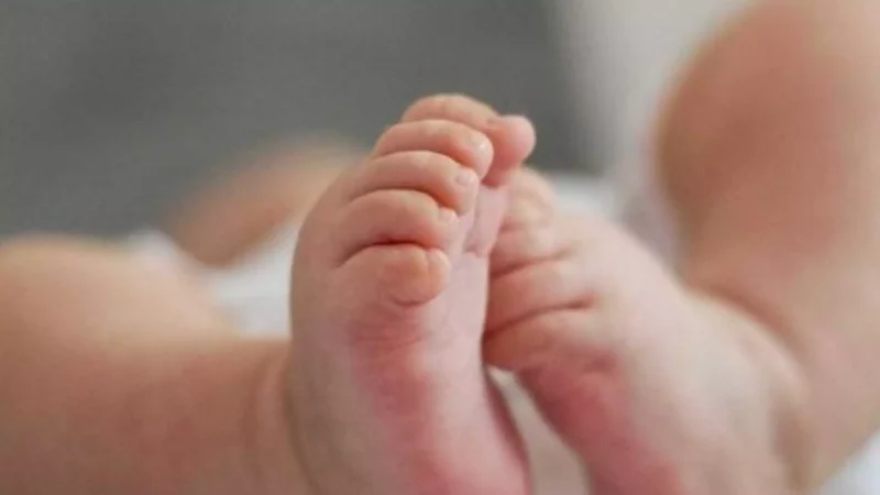 Bebê de 6 meses morre após ser esquecido pelo pai dentro do carro quente nos EUA