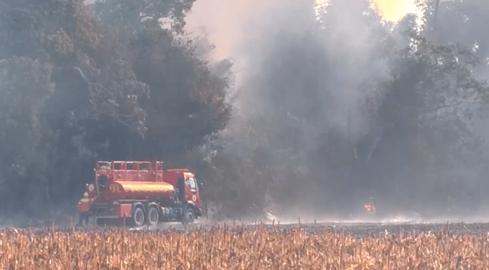 Bombeiros combatem queimada na área rural de Sinop