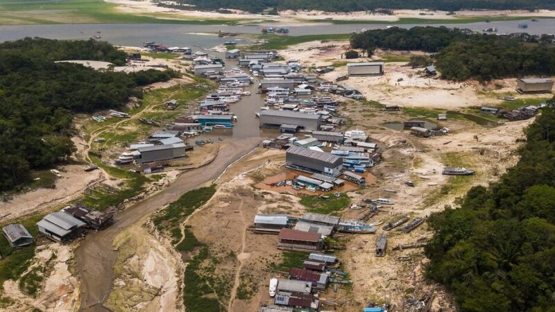 Banco Mundial emite novo título para promover reflorestamento da Amazônia