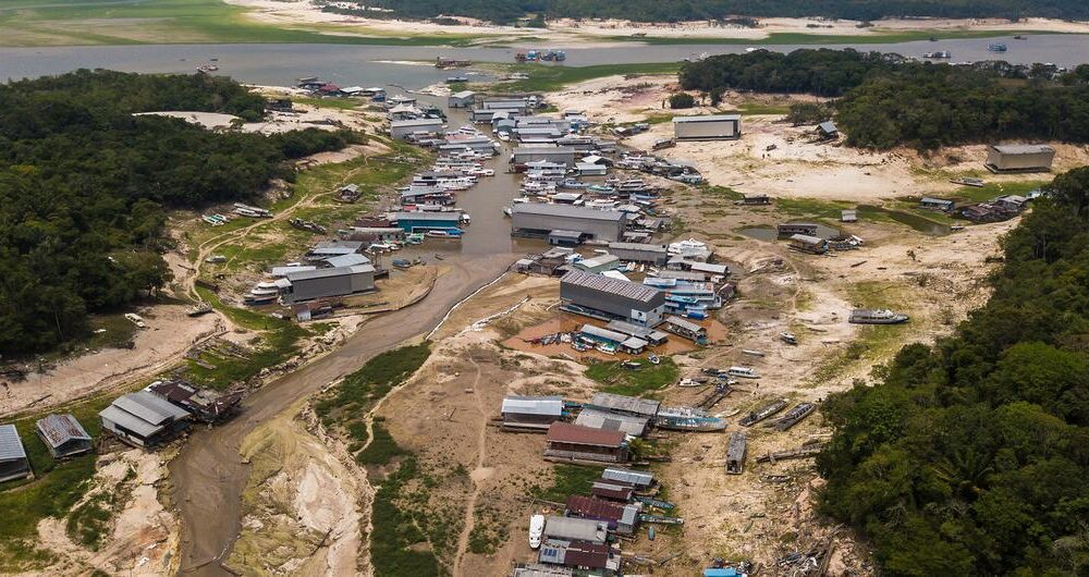 Banco Mundial emite novo título para promover reflorestamento da Amazônia