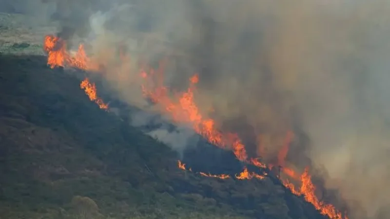 Governo aciona PF com suspeita de novo “dia do fogo” em São Paulo