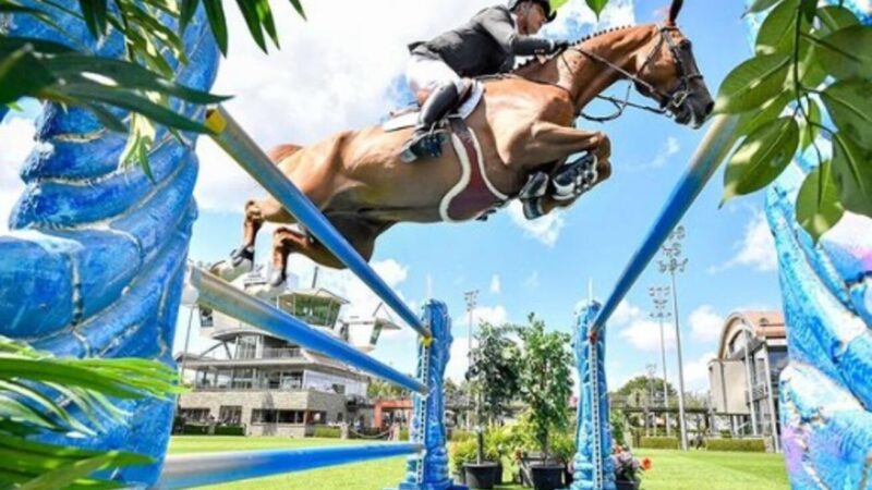 Rodrigo Pessoa e Stephen Barcha conquistam vaga para final do hipismo