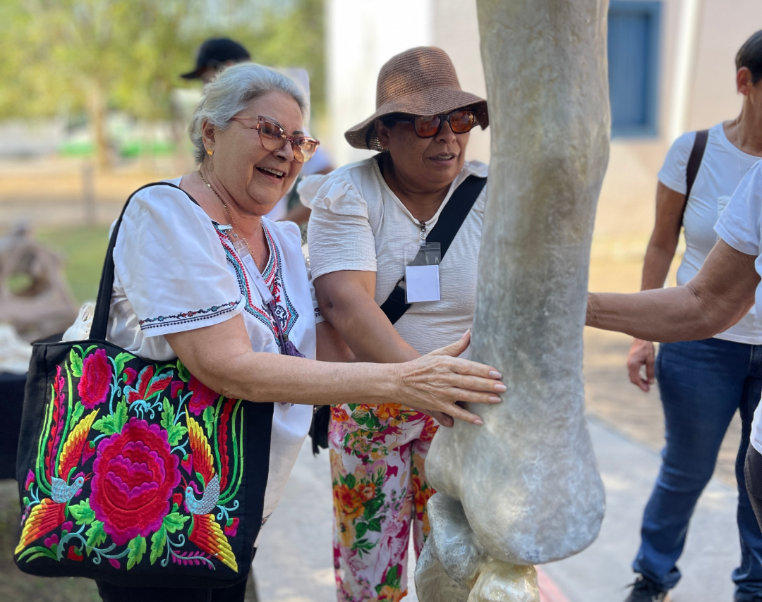 Museu de História Natural de MT oferece atividades inclusivas em programação de evento nacional
