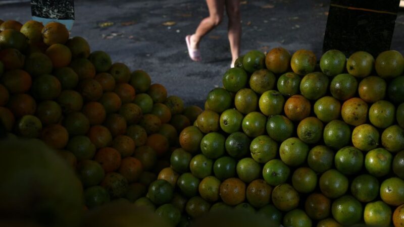 Fundecitrus reduz mais a safra de laranja de SP e MG; preço do suco tem recorde