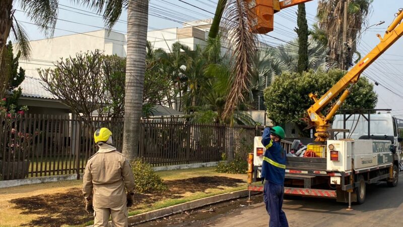 Bombeiros combatem incêndio em fios de energia