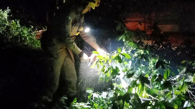 Bombeiros militares cortam árvores e desobstruem vias após tempestade em Alta Floresta