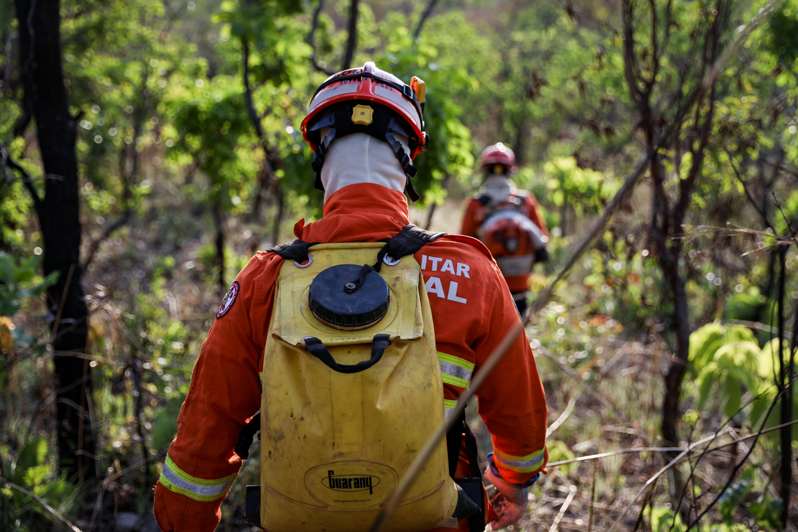 Corpo de Bombeiros combate 23 incêndios florestais nesta terça-feira (08)