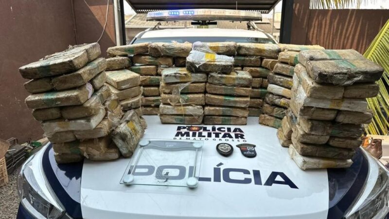 Polícia Militar registra aumento de 204% nas apreensões de drogas