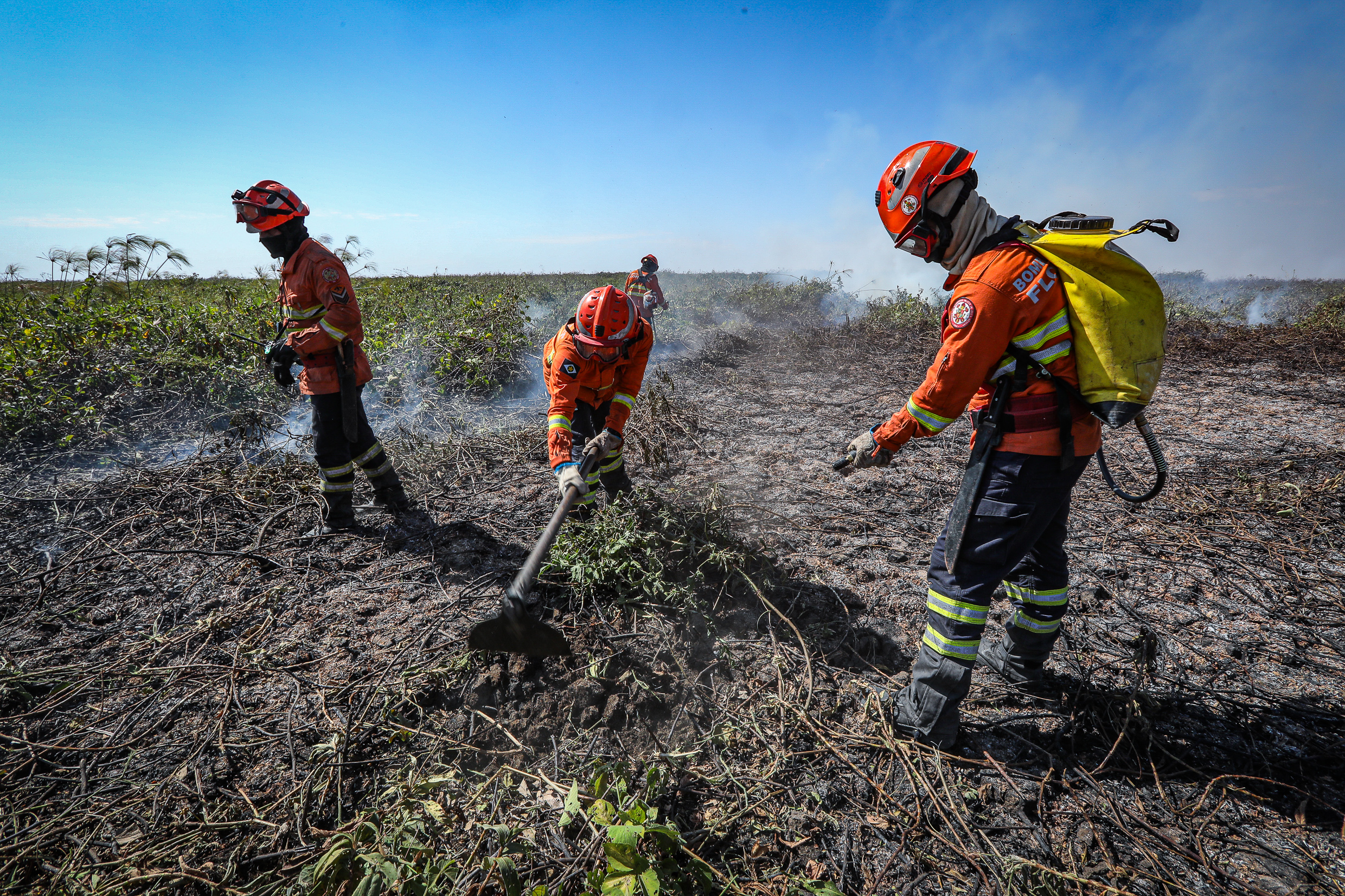 Entenda as estratégias e técnicas que o Corpo de Bombeiros usa no combate aos incêndios florestais