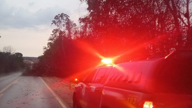 Corpo de Bombeiros realiza corte de árvores que interditavam a BR-070