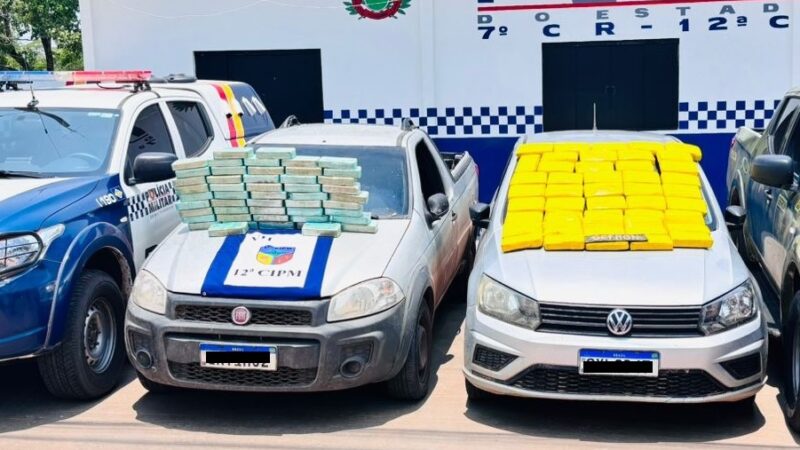 Ação conjunta apreende quase 100 tabletes de drogas e prende dois em flagrante