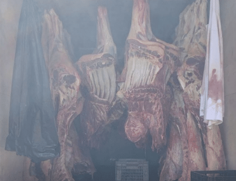 Apreensão de Carne Bovina Irregular em Ação Conjunta do Indea e Polícia Militar