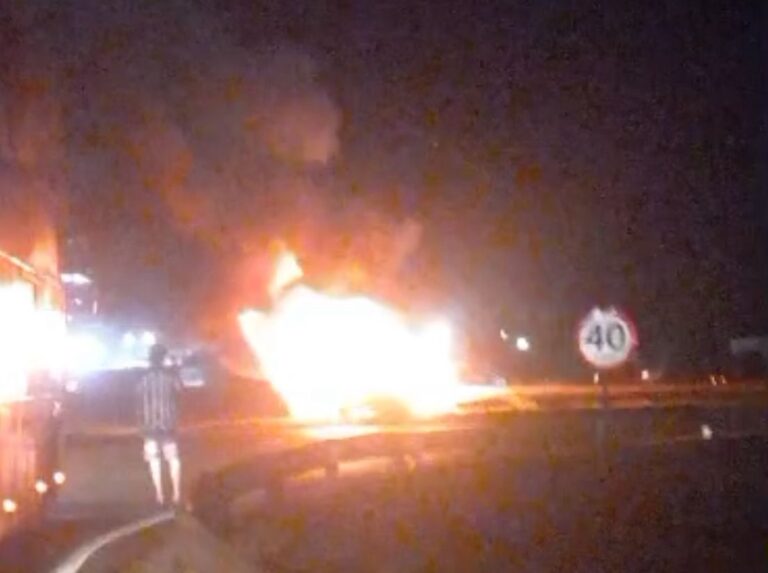 Carro sai da pista, bate em poste e pega fogo em rodovia de Mato Grosso