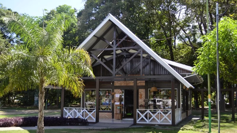 Comemoração do Dia do Artesão em Sinop: Uma Celebração de Criatividade e Tradição