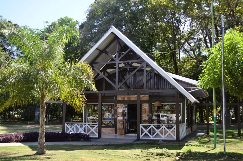 Comemoração do Dia do Artesão em Sinop: Uma Celebração de Criatividade e Tradição