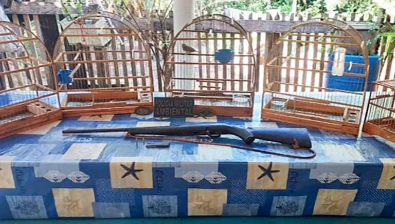 Prisão por Cárcere Privado de Animais Silvestres em Nova Canaã do Norte