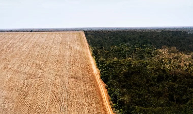 Governo de MT pede ao STF para apreender áreas desmatadas ilegamente