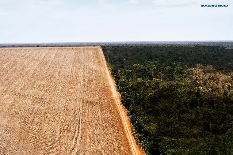 Governo de MT pede ao STF para apreender áreas desmatadas ilegamente