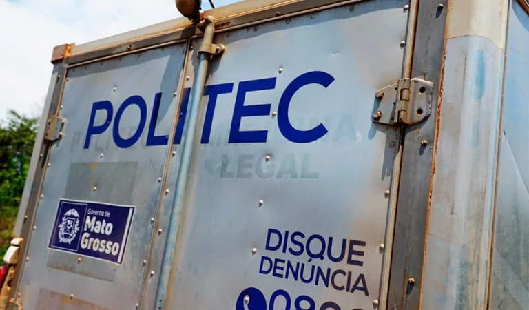 Trabalhador no Mato Grosso morre atingido por árvore