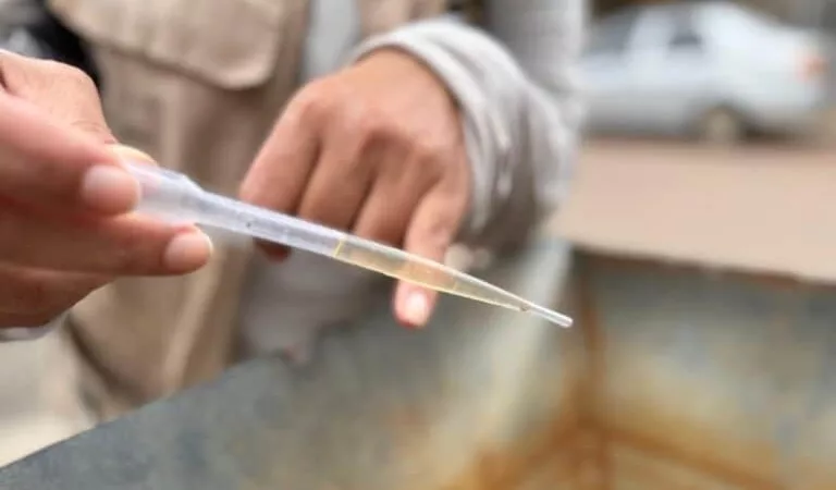 Vigilância Epidemiológica confirma 3 mortes por chikungunya em Sinop