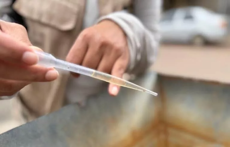 Vigilância Epidemiológica confirma 3 mortes por chikungunya em Sinop
