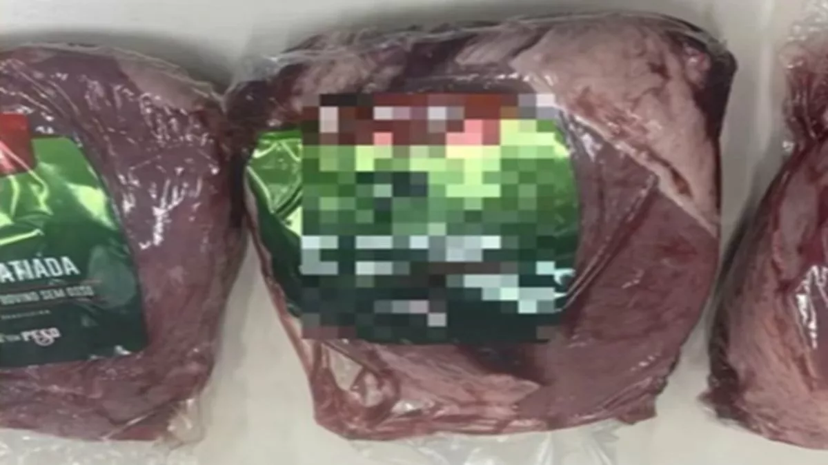 Prisão do Jovem Suspeito de Furto em Sinop