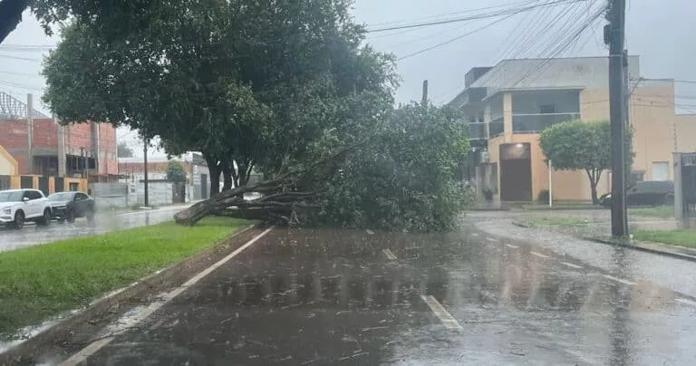 Ventos fortes e chuva causam danos em Sinop