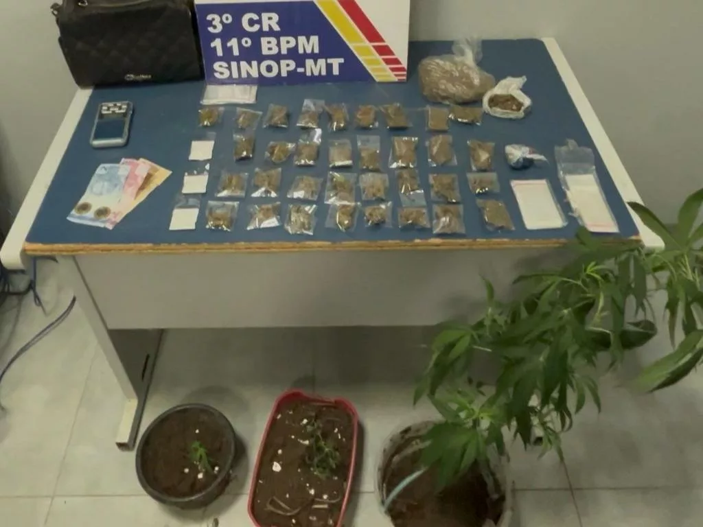 Polícia Militar prende homem com porções e pés de maconha em Sinop