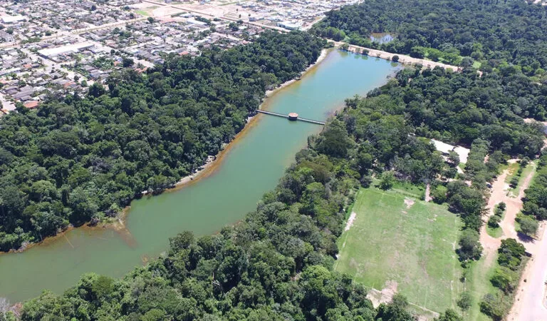 Sinop se Destaca em Arborização Urbana: 14ª Posição no Brasil