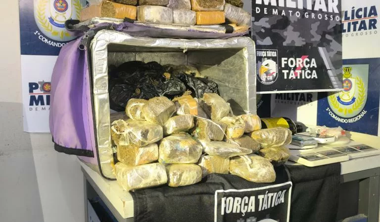 Força Tática apreende tabletes e porções de droga e causa prejuízo de R$ 50 mil às facções