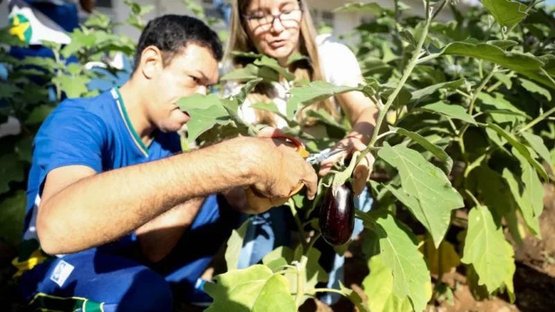 Projeto contempla 300 unidades estaduais em 2025; veja quais são