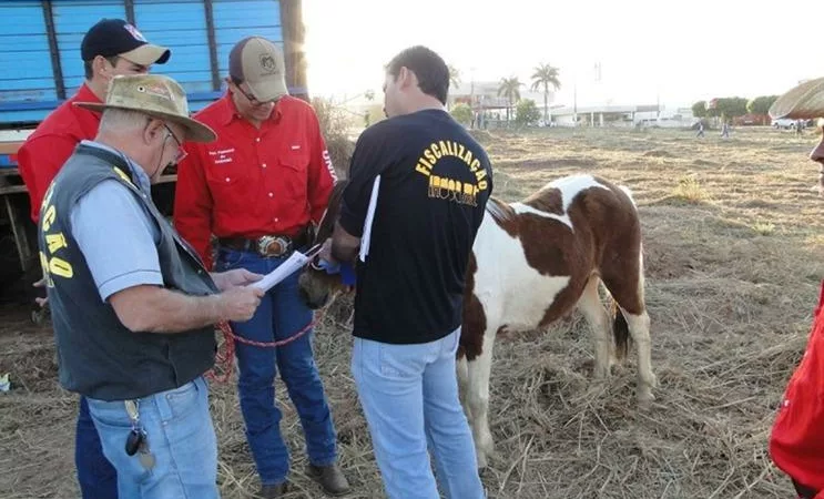 Indea promove curso para médicos veterinários interessados em atuar em eventos agropecuários