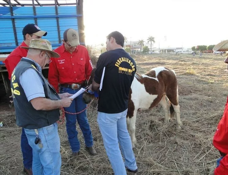 Indea promove curso para médicos veterinários interessados em atuar em eventos agropecuários
