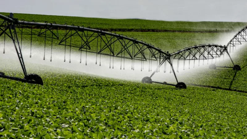 ALMT derruba 7 vetos e aprova lei que pode expandir irrigação para 4 milhões de hectares