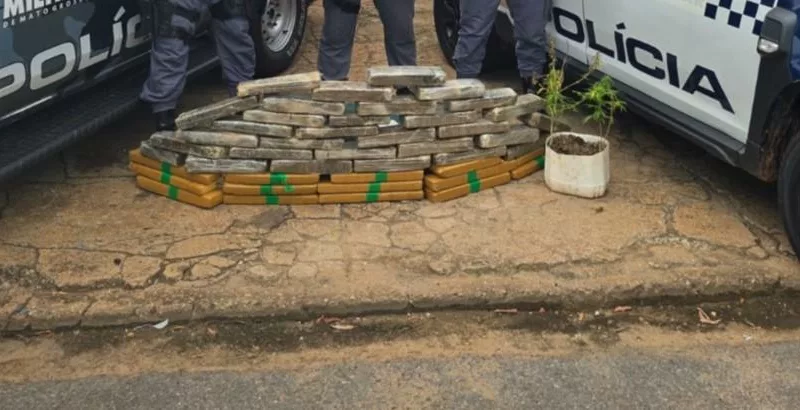 PM apreende 49 quilos de maconha avaliada em R$ 600 mil em Nova Xavantina