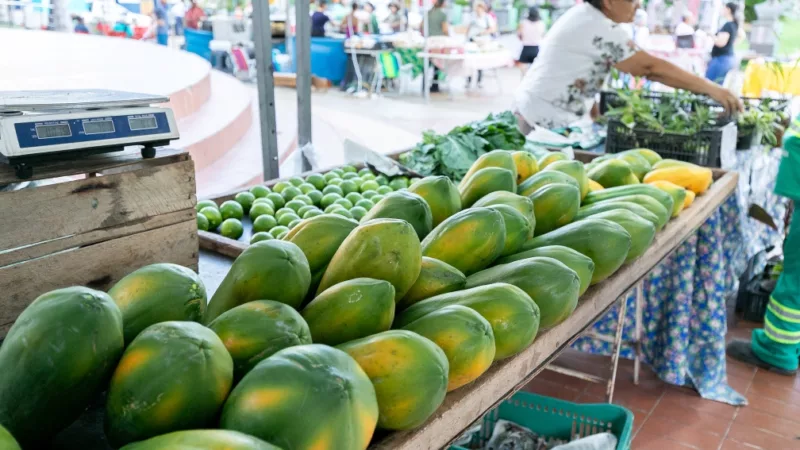 Edição da Feira da Agricultura Familiar é sucesso total na Praça Alencastro