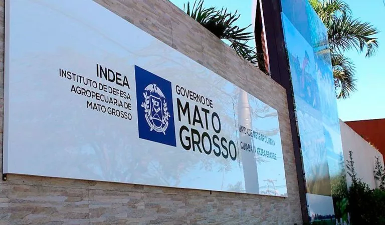 Exame descarta suspeita de gripe aviária em Mato Grosso