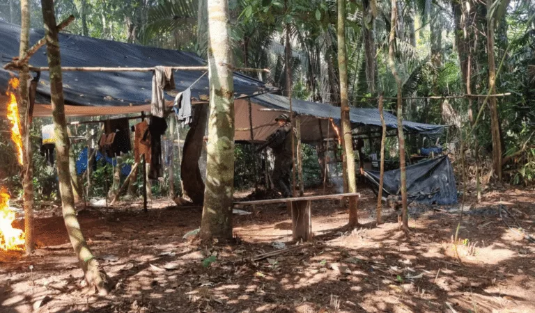 Garimpeiros fogem após Polícia Ambiental localizar área de extração ilegal em Mato Grosso