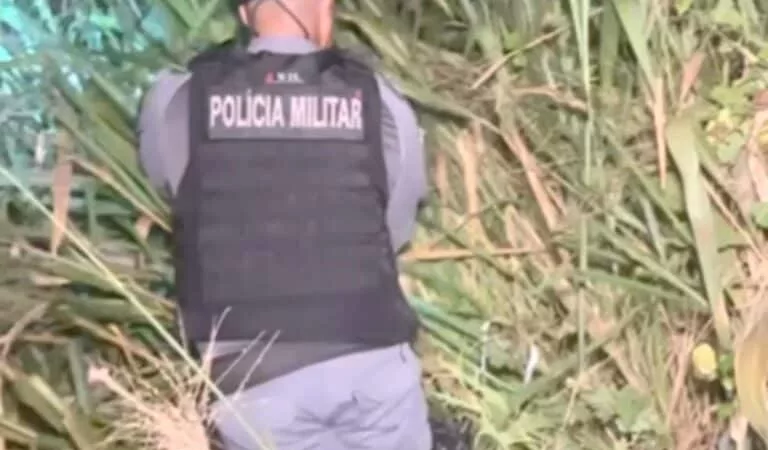 Homem morre ao ser atingido por caminhonete no Nortão; corpo localizado após uma hora