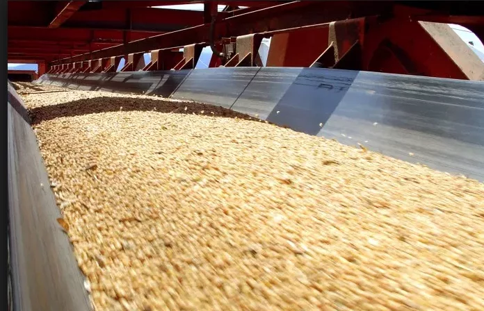 Sinop é 3º em ranking de exportação e secretário aponta “alta produtividade e competência”