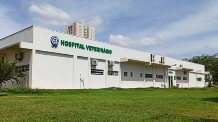 Hospital veterinário da UFMT de Sinop lidera ranking nacional em atendimentos