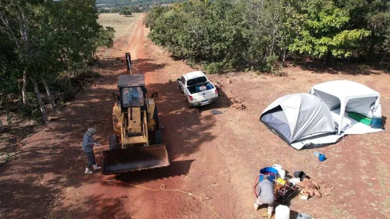 Governo de MT declara emergência zoossanitária após confirmação de caso de gripe aviária em Campinápolis