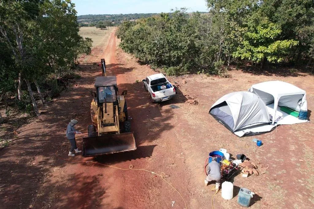 Governo de MT declara emergência zoossanitária após confirmação de caso de gripe aviária em Campinápolis
