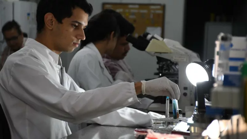 Pesquisadores desenvolvem sistema rápido para diagnóstico da resistência à antibióticos