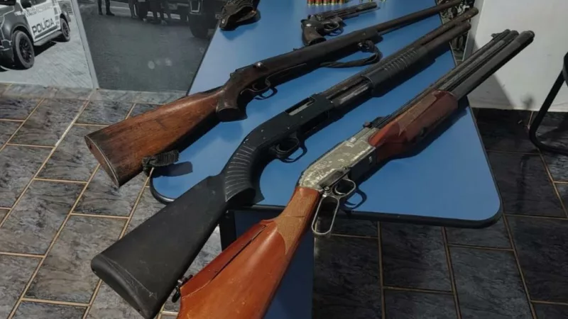 Polícia Militar apreende armas de fogo, munições e prende mulher por porte ilegal