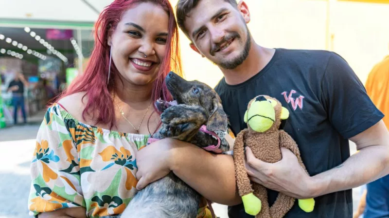 Cães são adotados em feira da Prefeitura de Cuiabá