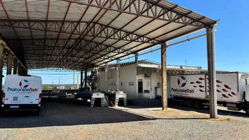 Desenvolve MT impulsiona inovação para melhorar qualidade do pescado em frigorífico